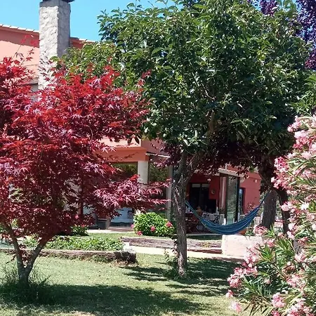 Leiradaporta * Monforte De Lemos